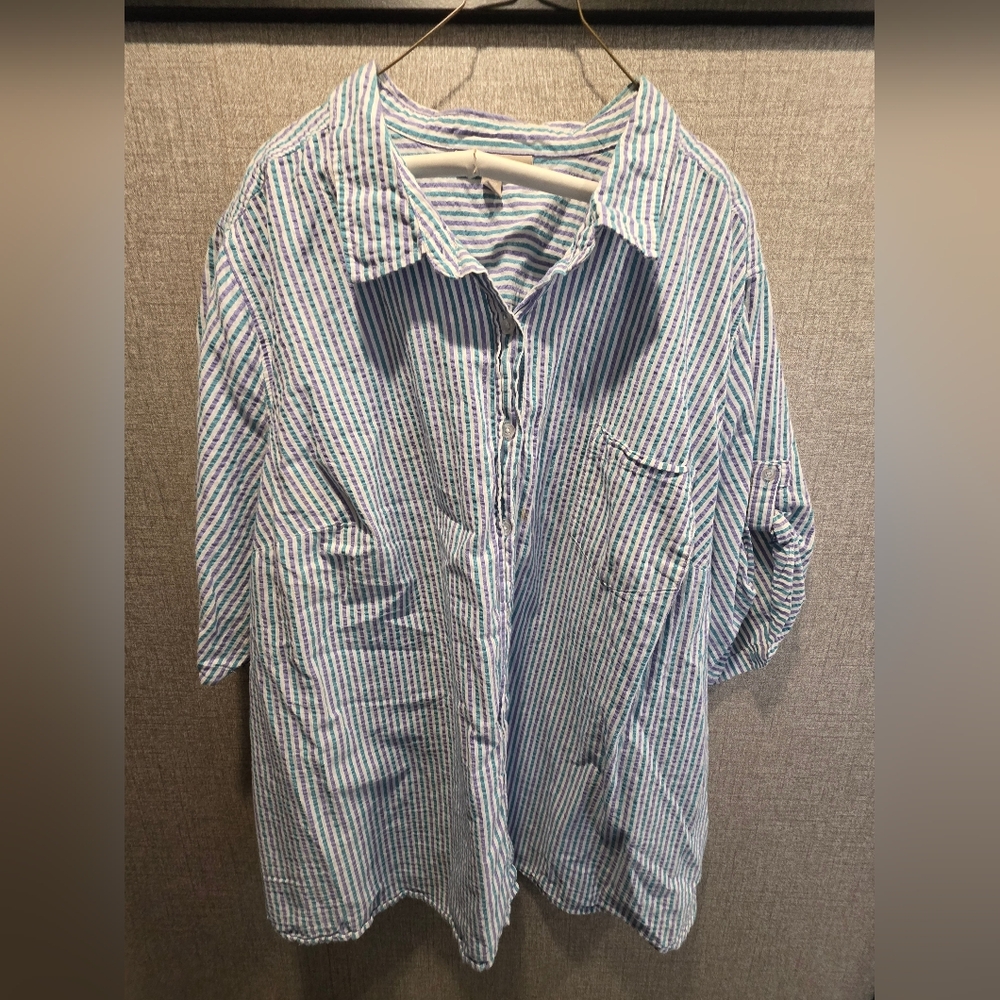 Woman Within Blue and White Striped Casual Shirt